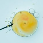 Trump’s Subsidized IVF Spells Disaster 