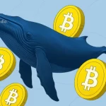 Satoshi Era Bitcoin Whale Wallet Buys 7000 BTC After 14 Years