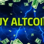 Top 3 Altcoins to Hold Until the Next Bull Run